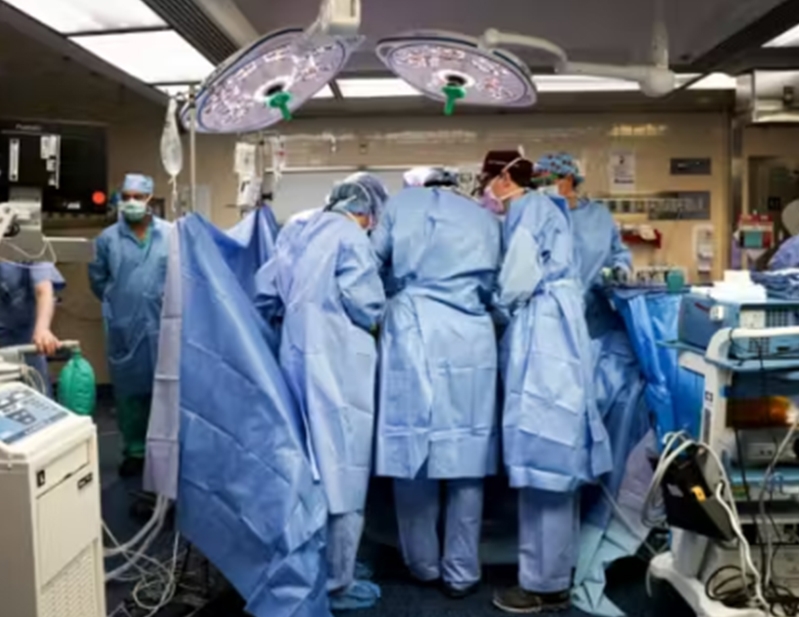 1° transplante de rim de porco para humano é feito por médico brasileiro nos EUA