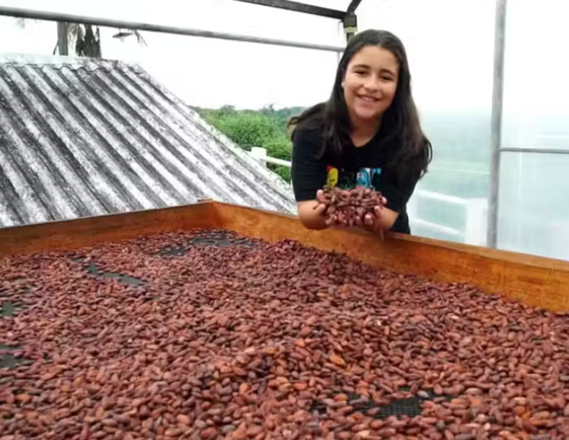 Menina brasileira de 11 anos cria fábrica de chocolate