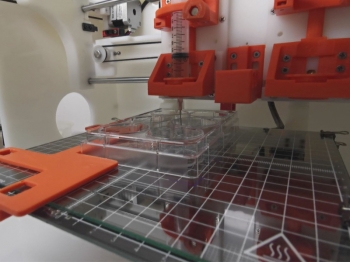 Curativo feito com impressão 3D em Ribeirão Preto usa células-tronco contra feridas crônicas