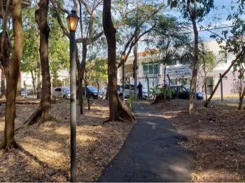 Opções de lazer nas férias, bosques de Bauru carecem de estrutura
