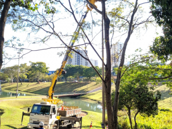 Parque Vitória Régia recebe manutenção para o aniversário da cidade