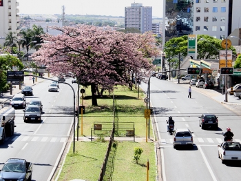 Semana começa com grave acidente em Bauru